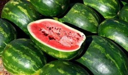 网红八卦吃瓜大全,吃瓜大全，带你领略娱乐圈幕后风云